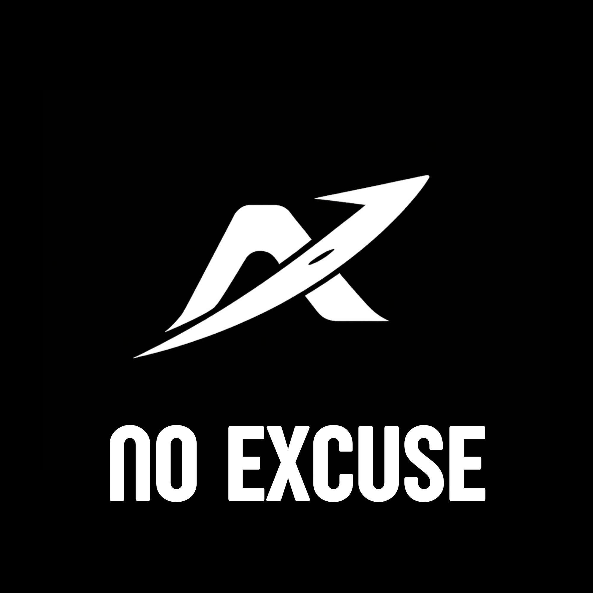 NO EXCUSE Logo